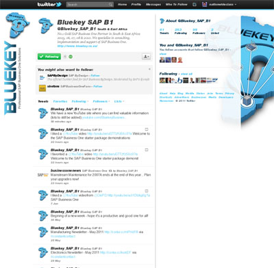Bluekey Holdings Ltd Custom Twitter Background Skin