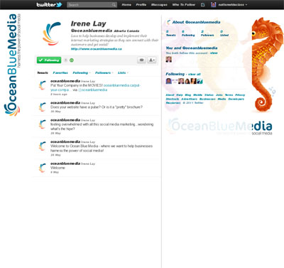 Custom Twitter Background on Oceanbluemedia Custom Twitter Background Skin   Customtwit Com