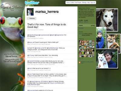 Marisa Herrera Custom Twitter Background