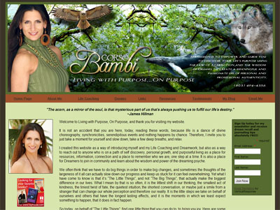 BambiCorso.com Custom Site Header
