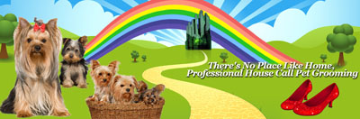NoPlaceLikeHomeGrooming.com Custom Wordpress Header