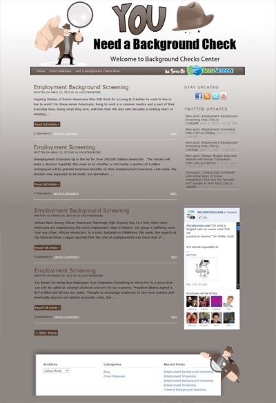 BackgroundChecksCenter.com Custom Wordpress Blog and Theme