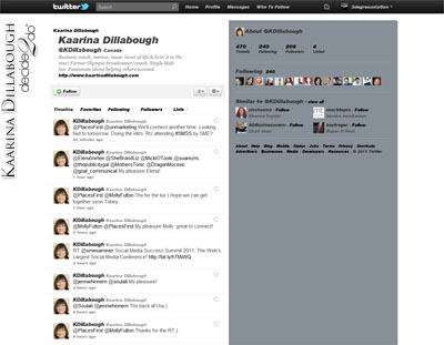 Kaarina Dillabough Custom Twitter Background Skin