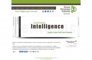 SizweNtsalubaGobodo Systems Custom Wordpress …
