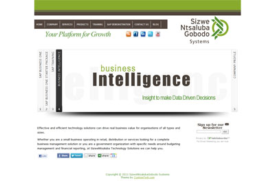 SizweNtsalubaGobodo Systems Custom Wordpress Site & Blog