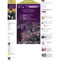 BUTTERFLYWHEEL™ Motivation, Advocacy & Consulting Facebook iFrames Application