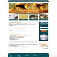 PMT.net.au Custom WordPress Site & Blog