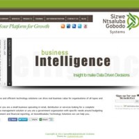 SizweNtsalubaGobodo Systems Custom WordPress Site & Blog